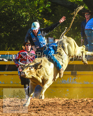TaralgaRodeo2014_KJS_4741