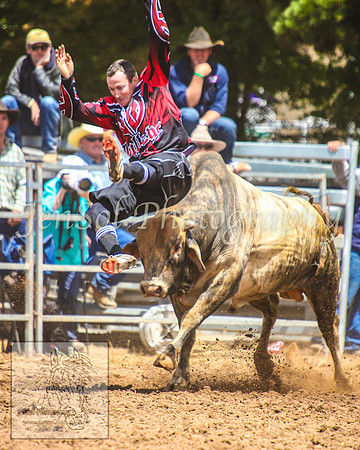 TaralgaRodeo2014_0504