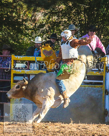 TaralgaRodeo2014_1595