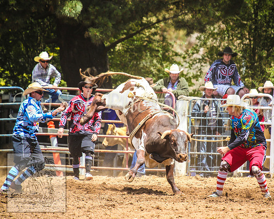TaralgaRodeo2014_0560