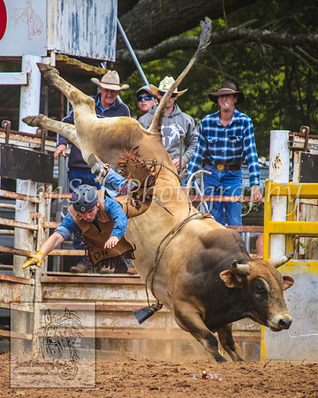 TaralgaRodeo2014_0446