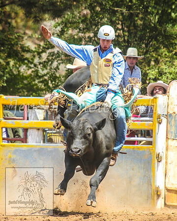 TaralgaRodeo2014_0527