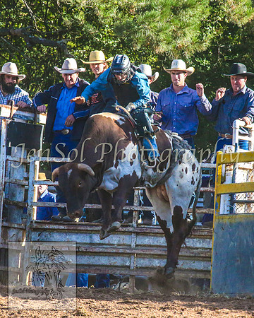 TaralgaRodeo2014_1625