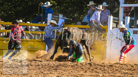 TaralgaRodeo2014_1565