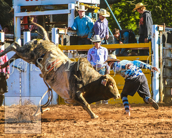 TaralgaRodeo2014_KJS_4800