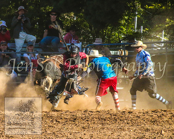 TaralgaRodeo2014_1535
