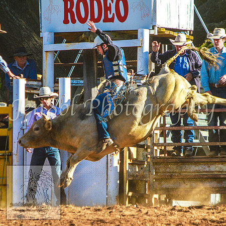 TaralgaRodeo2014_KJS_4739