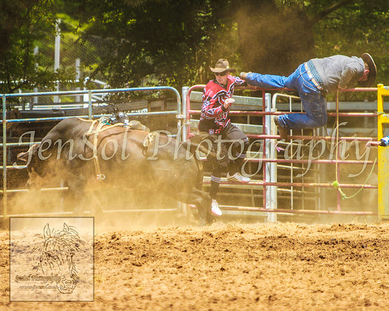 TaralgaRodeo2014_KJS_4258