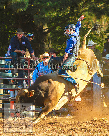 TaralgaRodeo2014_KJS_4824