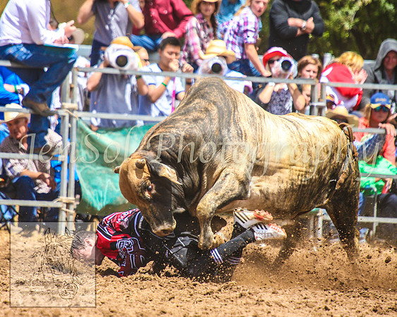 TaralgaRodeo2014_0501
