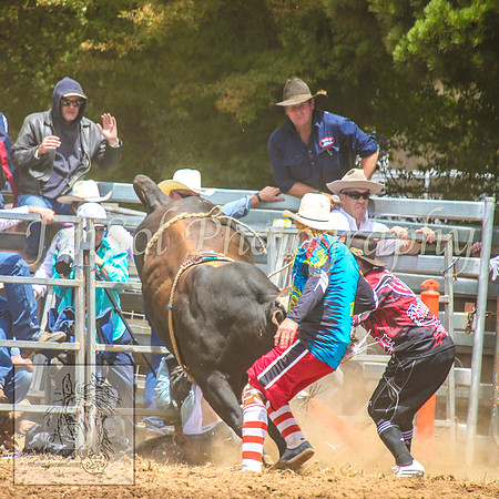 TaralgaRodeo2014_0438