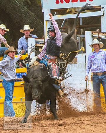 TaralgaRodeo2014_KJS_4267