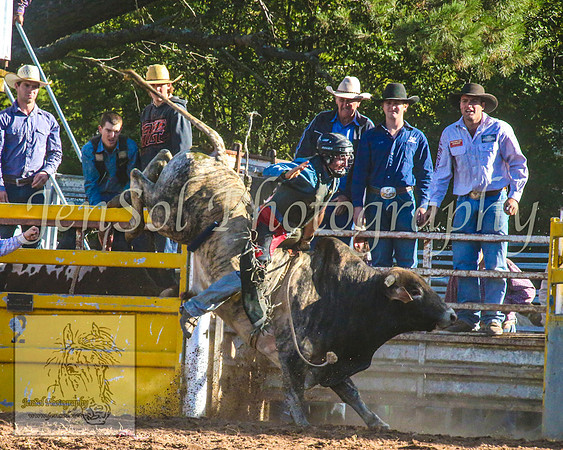 TaralgaRodeo2014_1569