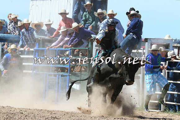 BungendoreRodeo2014_2000