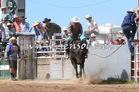 BungendoreRodeo2014_2254