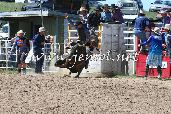 BungendoreRodeo2014_1972
