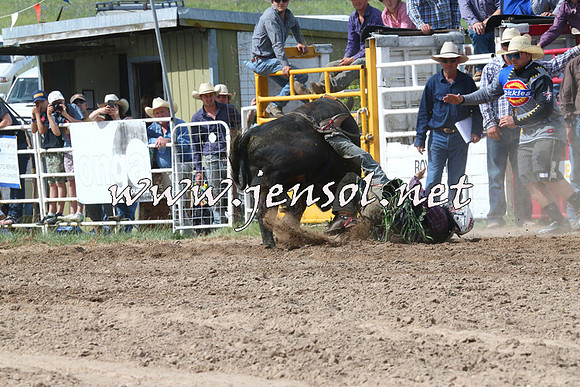 BungendoreRodeo2014_2273