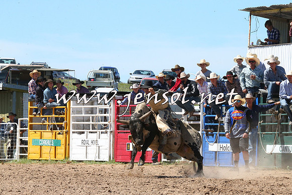 BungendoreRodeo2014_2053