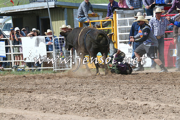 BungendoreRodeo2014_2274