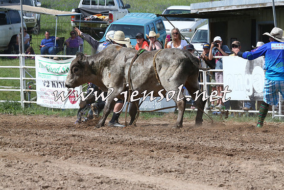 BungendoreRodeo2014_2228