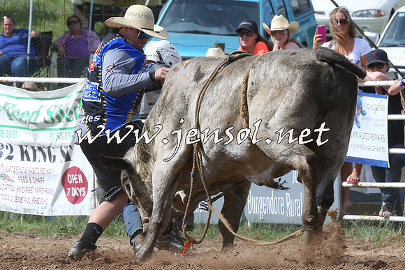 BungendoreRodeo2014_2229