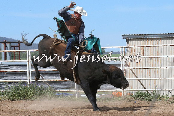 BungendoreRodeo2014_2263