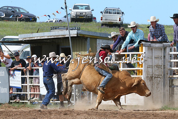 BungendoreRodeo2014_2209