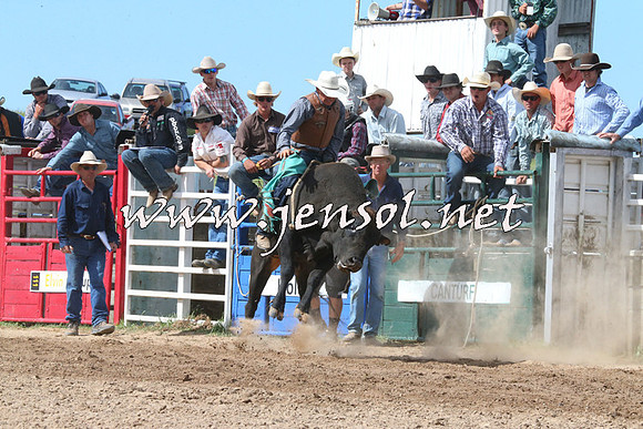 BungendoreRodeo2014_2245