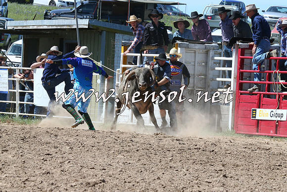BungendoreRodeo2014_1995