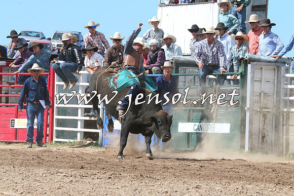 BungendoreRodeo2014_2250