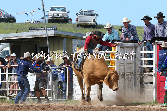 BungendoreRodeo2014_2213