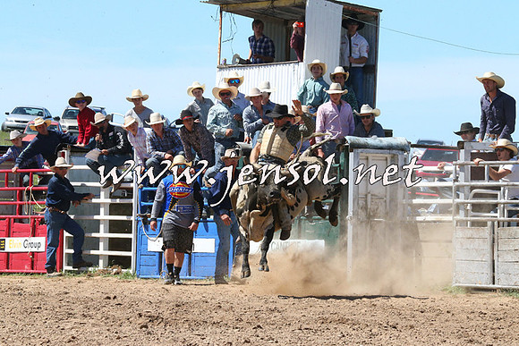 BungendoreRodeo2014_2044