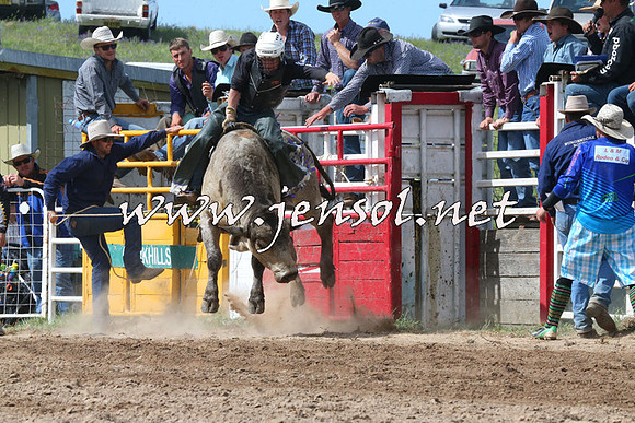 BungendoreRodeo2014_2219