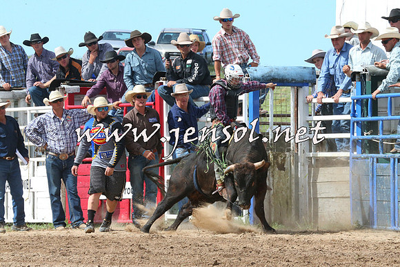 BungendoreRodeo2014_2268