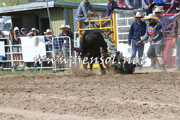 BungendoreRodeo2014_2275