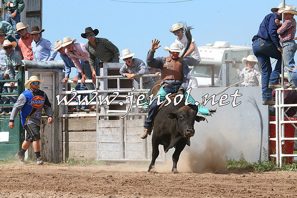 BungendoreRodeo2014_2253