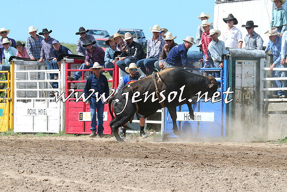 BungendoreRodeo2014_2239