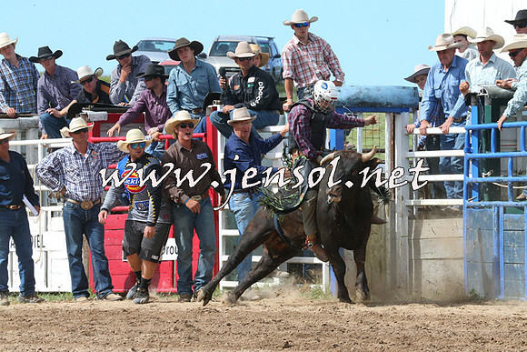 BungendoreRodeo2014_2270