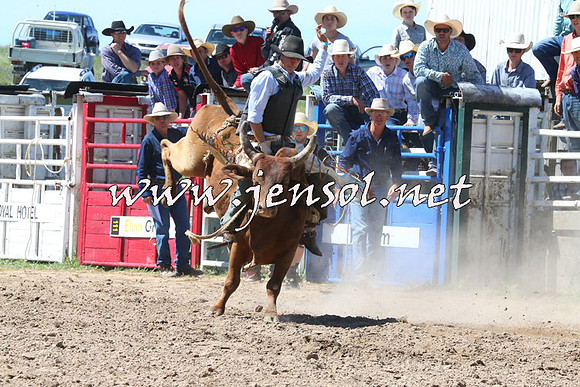 BungendoreRodeo2014_2016