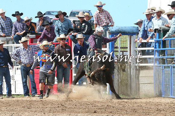 BungendoreRodeo2014_2272