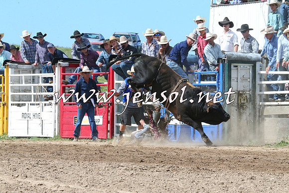 BungendoreRodeo2014_2237