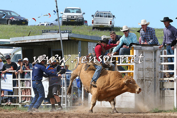 BungendoreRodeo2014_2212