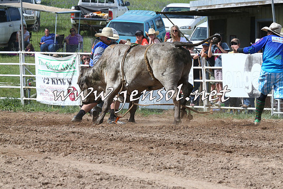 BungendoreRodeo2014_2230