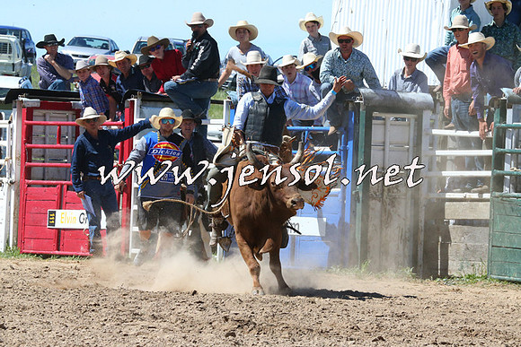 BungendoreRodeo2014_2015