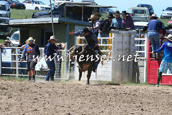 BungendoreRodeo2014_1981