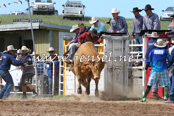 BungendoreRodeo2014_2214