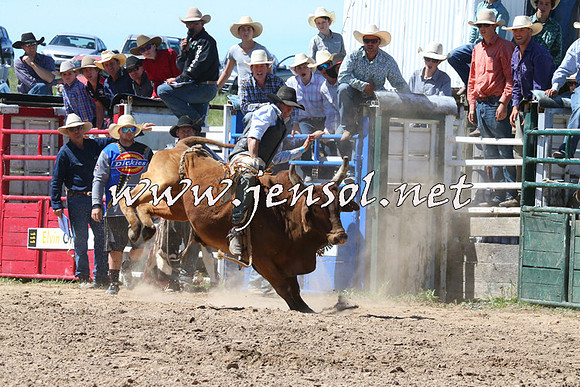 BungendoreRodeo2014_2018