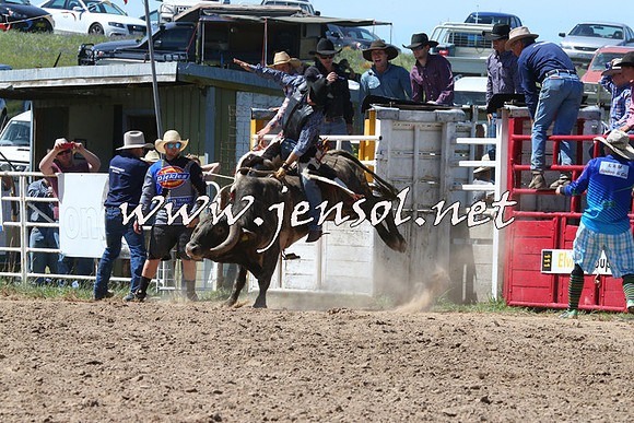 BungendoreRodeo2014_1991