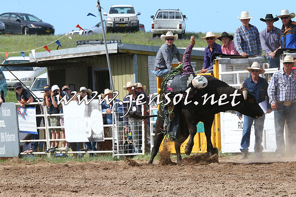 BungendoreRodeo2014_2278
