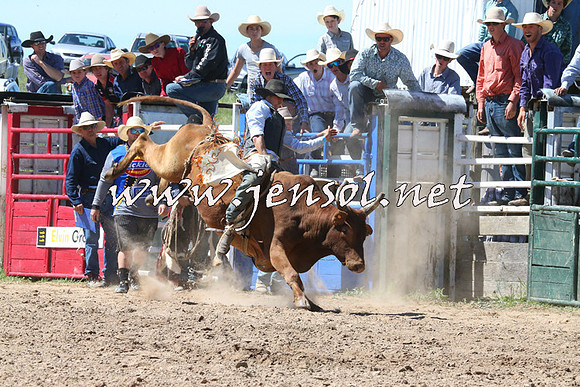 BungendoreRodeo2014_2011